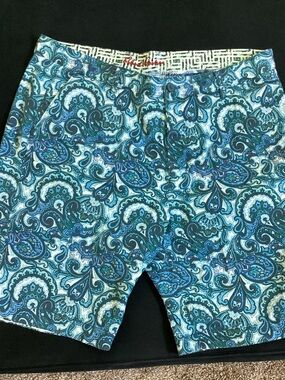 Robert Graham Blue Teal Paisley Shorts